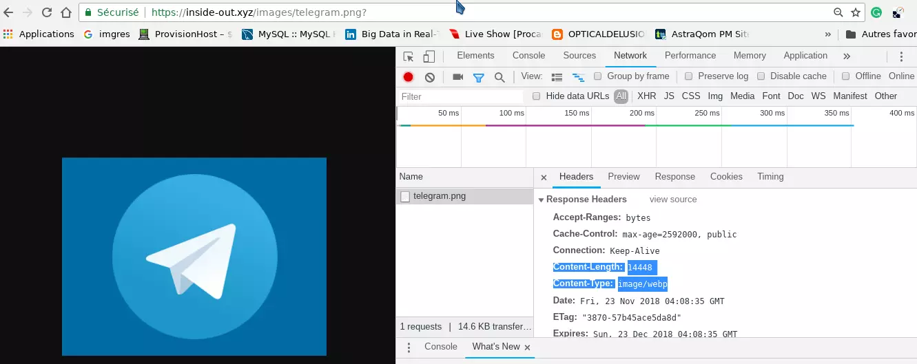 webp image in the browser